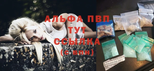 молекула духа Надым