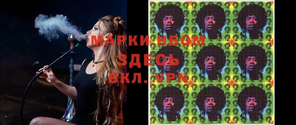 молекула духа Надым