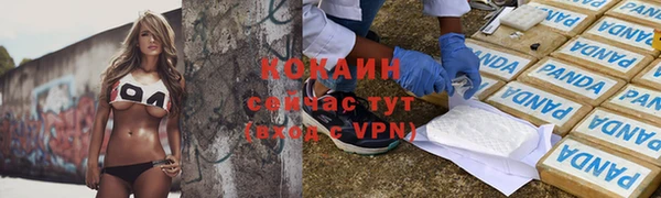 сатива Навашино