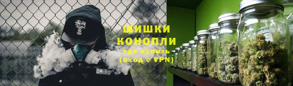 молекула духа Надым
