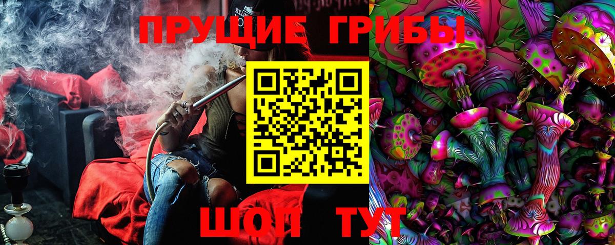 Псилоцибиновые грибы Psilocybine cubensis Иваново