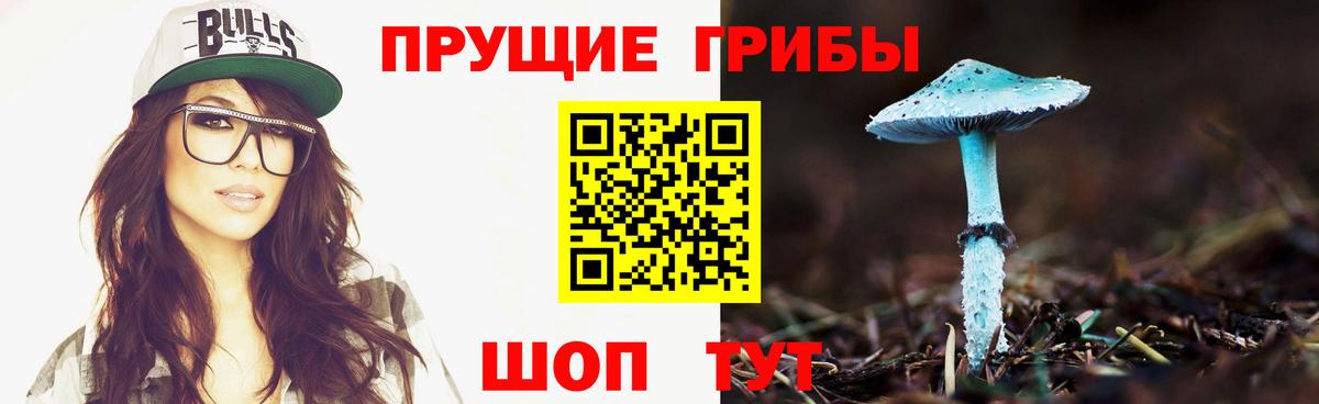 Галлюциногенные грибы Psilocybe  Вход с VPN  Иваново 